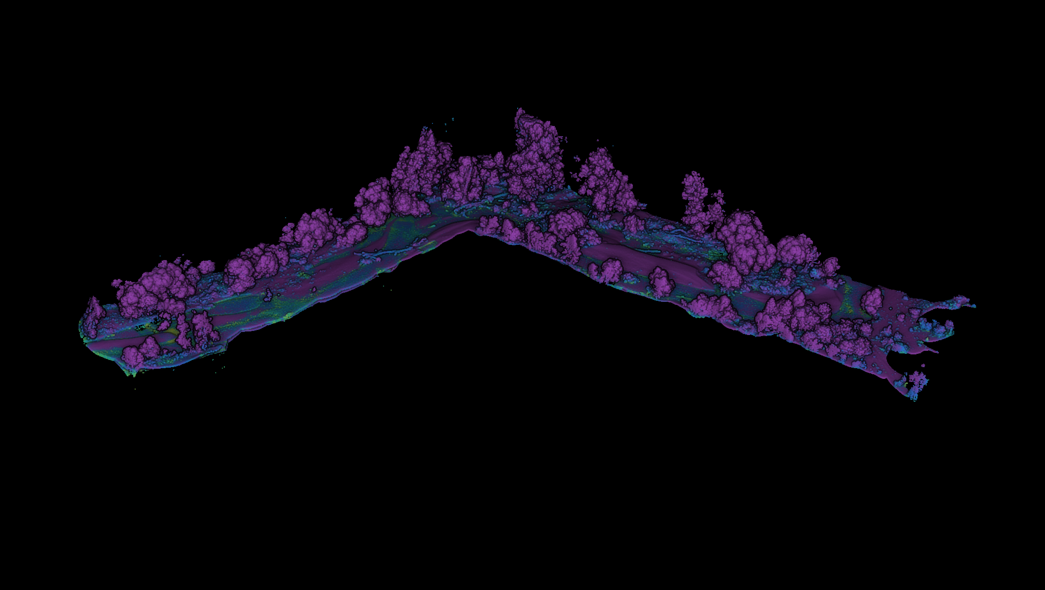 Forestry and environmental monitoring
